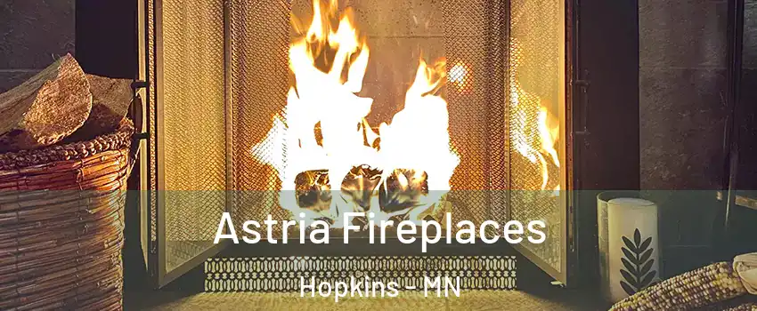  Astria Fireplaces Hopkins - MN