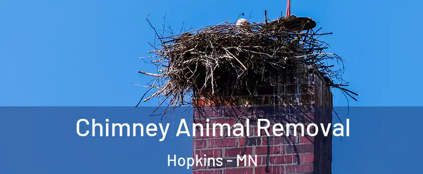  Chimney Animal Removal Hopkins - MN