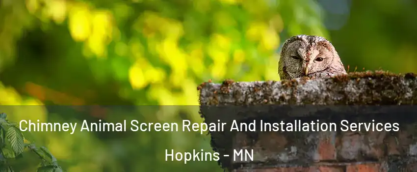  Chimney Animal Screen Repair And Installation Services Hopkins - MN