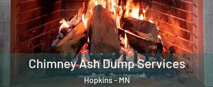  Chimney Ash Dump Services Hopkins - MN
