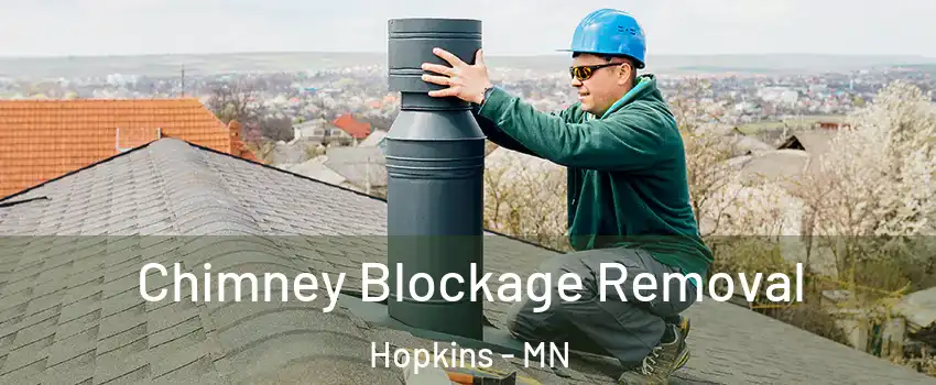  Chimney Blockage Removal Hopkins - MN