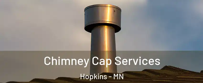  Chimney Cap Services Hopkins - MN