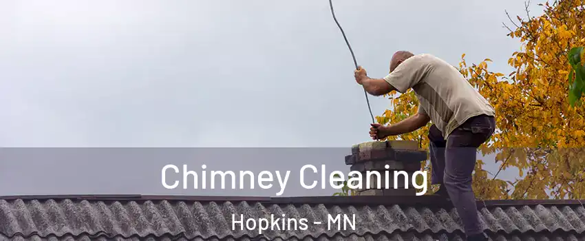 Chimney Cleaning Hopkins - MN