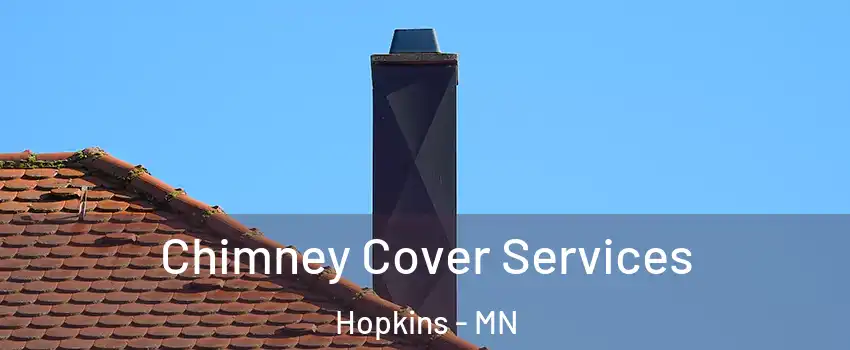  Chimney Cover Services Hopkins - MN