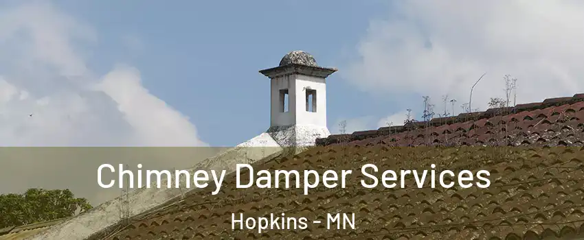  Chimney Damper Services Hopkins - MN