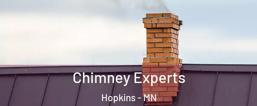  Chimney Experts Hopkins - MN