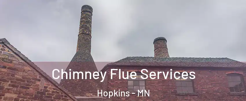  Chimney Flue Services Hopkins - MN