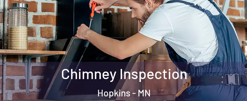  Chimney Inspection Hopkins - MN