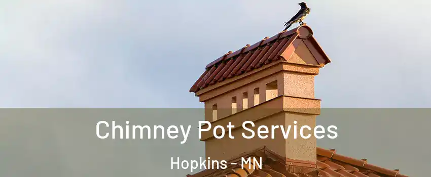  Chimney Pot Services Hopkins - MN