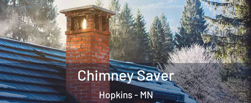  Chimney Saver Hopkins - MN