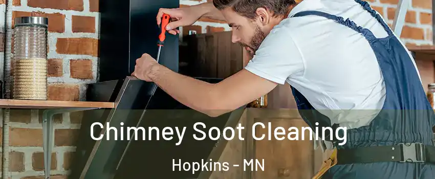  Chimney Soot Cleaning Hopkins - MN