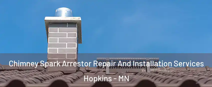  Chimney Spark Arrestor Repair And Installation Services Hopkins - MN
