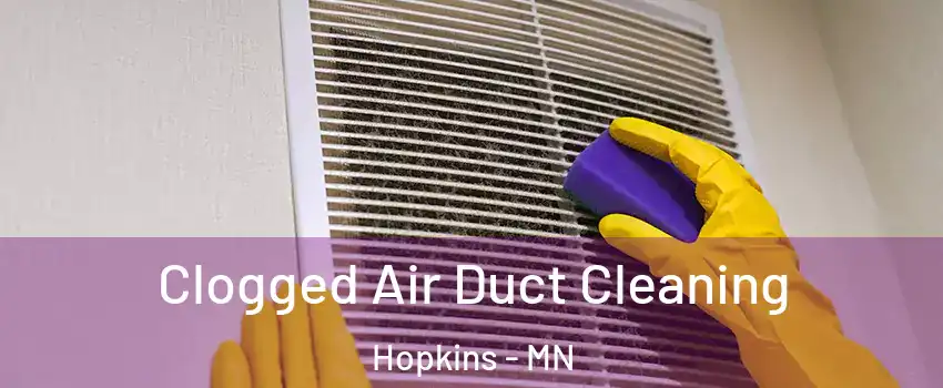  Clogged Air Duct Cleaning Hopkins - MN