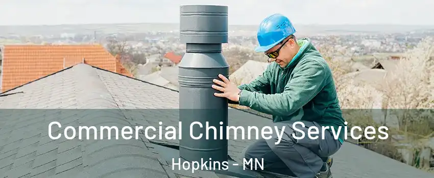  Commercial Chimney Services Hopkins - MN