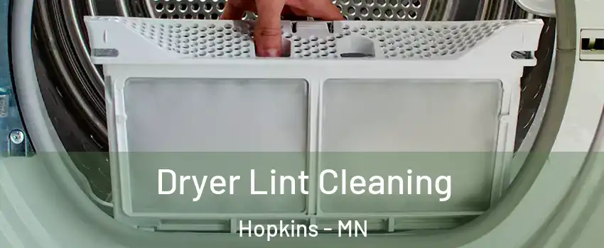 Dryer Lint Cleaning Hopkins - MN