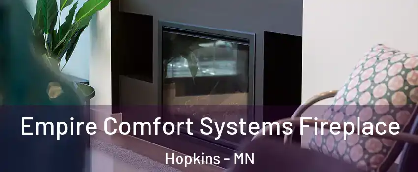  Empire Comfort Systems Fireplace Hopkins - MN