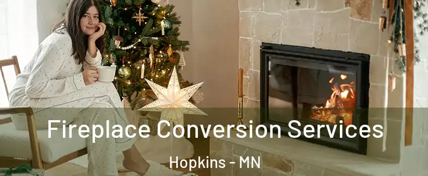  Fireplace Conversion Services Hopkins - MN
