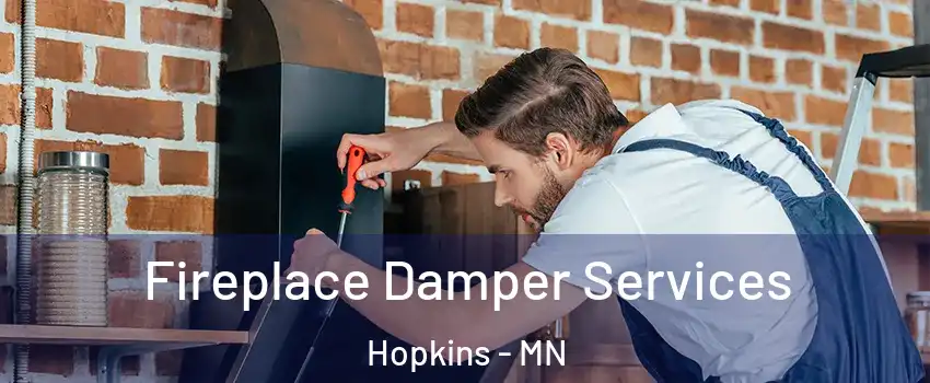  Fireplace Damper Services Hopkins - MN