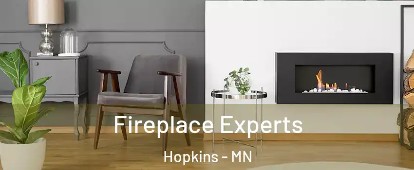  Fireplace Experts Hopkins - MN