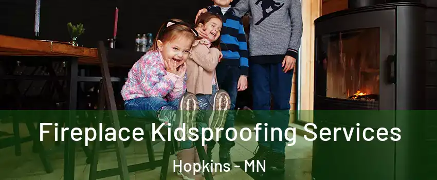  Fireplace Kidsproofing Services Hopkins - MN