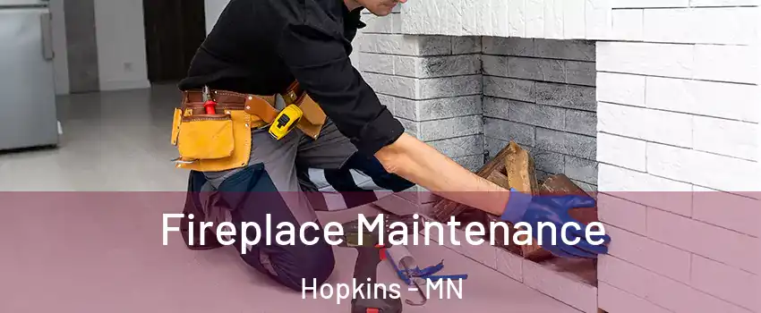  Fireplace Maintenance Hopkins - MN