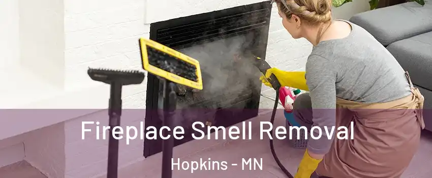  Fireplace Smell Removal Hopkins - MN
