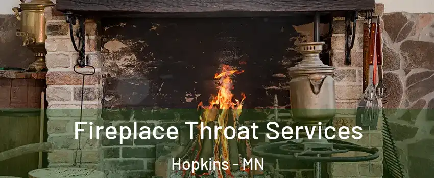  Fireplace Throat Services Hopkins - MN