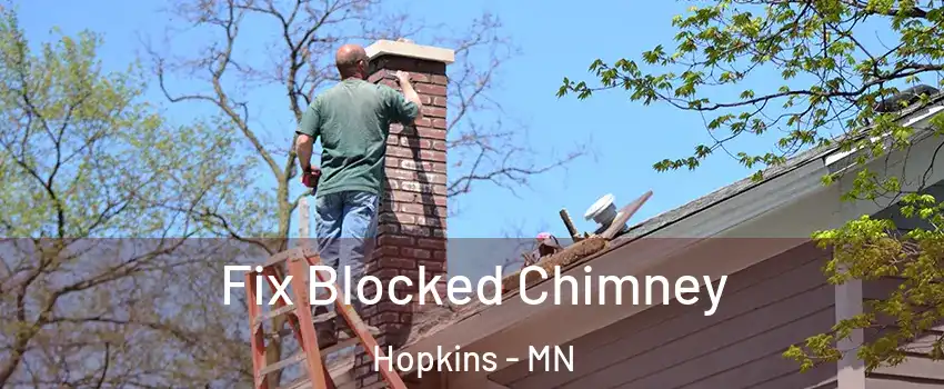  Fix Blocked Chimney Hopkins - MN
