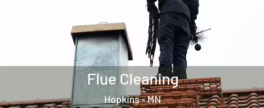  Flue Cleaning Hopkins - MN