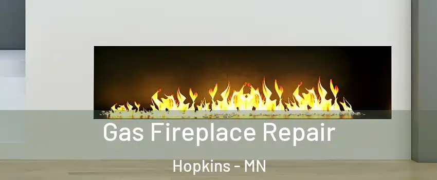  Gas Fireplace Repair Hopkins - MN