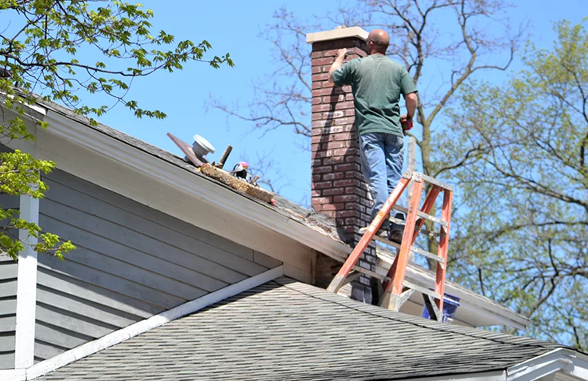 Chimney & Fireplace Inspections Services in Hopkins, MN