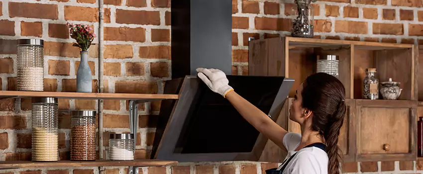 Chimney Installation in Hopkins, MN