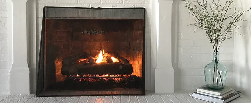 Cost-Effective Fireplace Mantel Inspection And Maintenance in Hopkins, MN