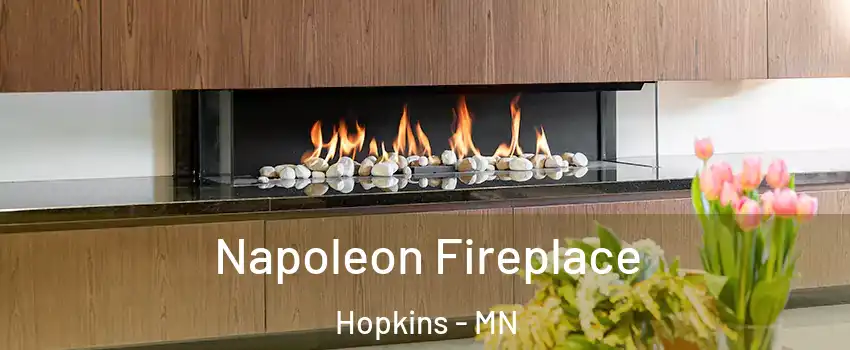  Napoleon Fireplace Hopkins - MN