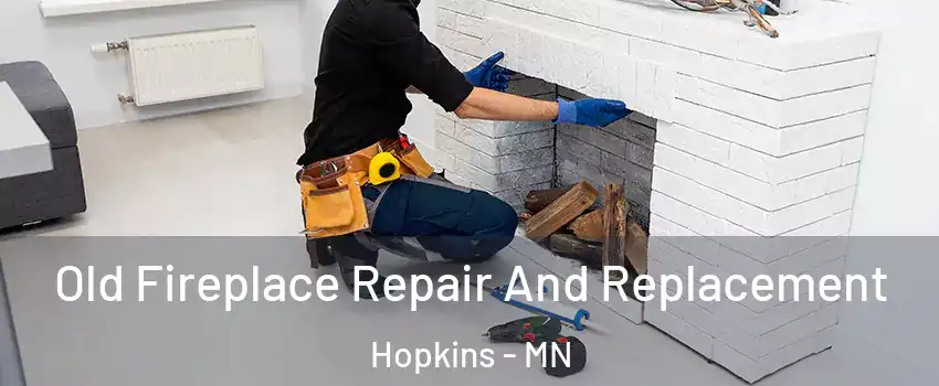  Old Fireplace Repair And Replacement Hopkins - MN