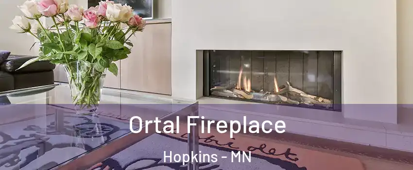  Ortal Fireplace Hopkins - MN