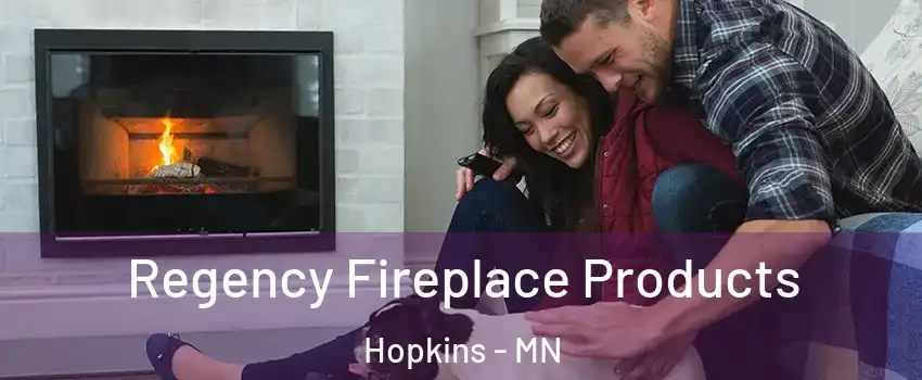  Regency Fireplace Products Hopkins - MN