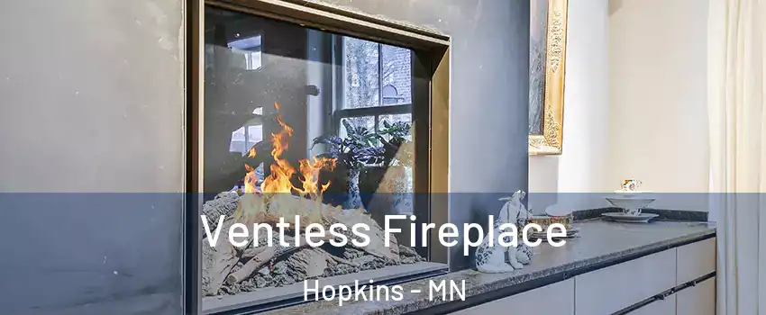 Ventless Fireplace Hopkins - MN
